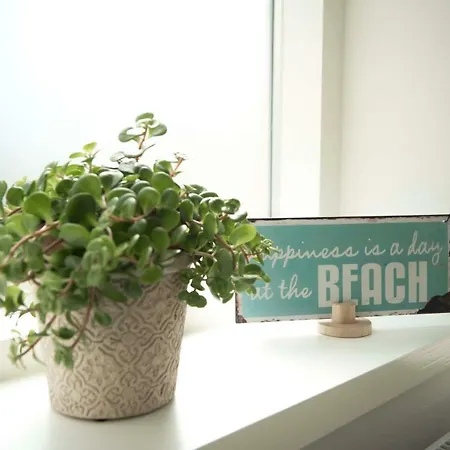 The Bond Free Parking زاندفورت