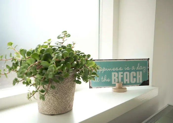 The Bond Free Parking 잔드보르트